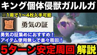 【モンハンストーリーズ3】勇気の証集めはこれ！キング侵獣イャンガルルガ5ターン周回構成を解説！【モンスターハンターストーリーズ3運命の双竜】
