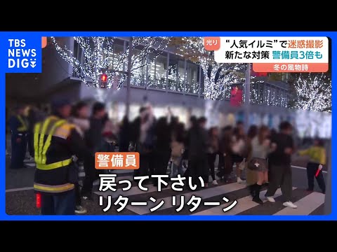 「贅沢な経験」イチョウ並木ライトアップ　一方で“人気イルミ”では迷惑撮影も　新たな対策として警備員3...