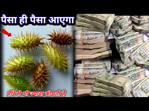 लाखों की दवाइयाँ भी फेल है मिल जाए तो छोड़ना मत // पैसा ही पैसा आएगा.#धन_प्राप्ति_के_उपाय