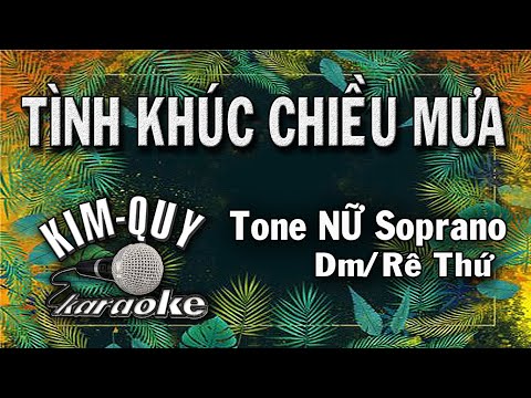 TÌNH KHÚC CHIỀU MƯA – KARAOKE – Tone NỮ Soprano ( Dm/Rê Thứ)