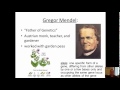 Genetics and Human Genome Concepts