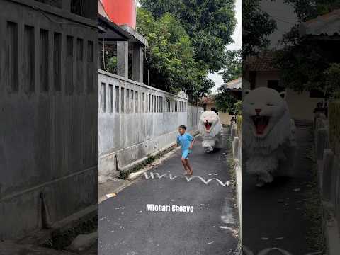 Bocil ff dikejar can macanan