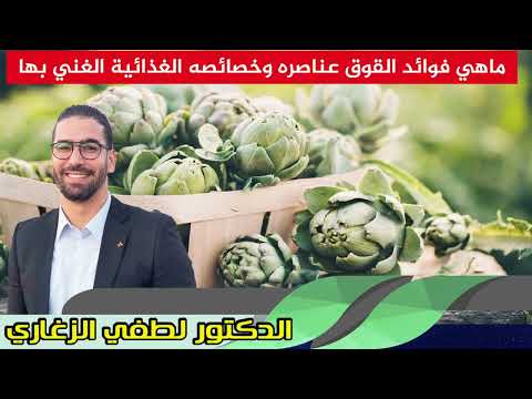 ماهي فوائد القوق عناصره وخصائصه الغذائية الغني بها الدكتور لطفي الزغاري