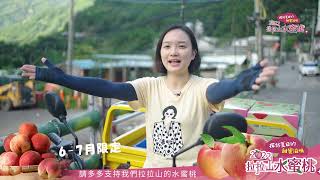 2022拉拉山水蜜桃「探訪夏日的甜蜜滋味」推廣行銷宣傳影片
