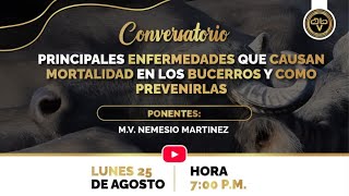 ¡Principales enfermedades que causan mortalidad en bucerros! Como prevenirlas? 🐃