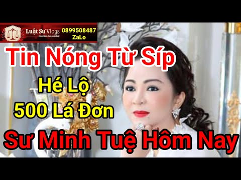 🔴 Trực Tiếp Nguyễn Phương Hằng Lộ 500 Lá Đơn Và Sư Thích Minh Tuệ Mới Nhất Hôm Nay?  Luật Sư Vlogs