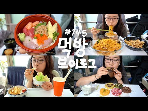 떠먹는 초밥..? 그런게 있는지 몰 랐 어 | 카이센동 삼선 볶음짬뽕 탕수육 옥수수크림치즈쿠키 초코쿠키 디저트 저탄고지 햄버거 감자튀김 밀크쉐이크 | 먹방 브이로그 #145