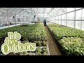 Aquaponics System Concepts and Applications