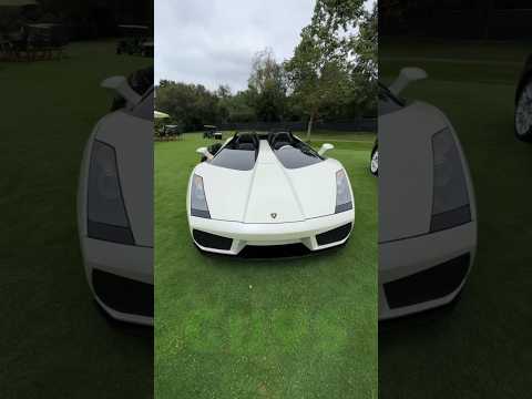 Insane Lamborghini ?
