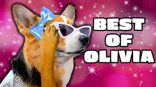 Olivia's SASSIEST Moments 💅💅💖 | BEST of Talking Dog Compilation
