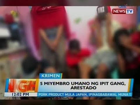 Miyembro Umano Ng Ipit Gang Arestado Videos Gma News Online