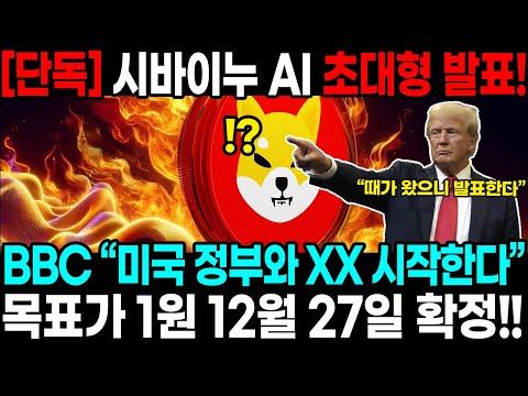 [단독] 시바이누 AI 초대형 발표! BBC “미국 정부와 XX 시작한다” 목표가 1원 12월 27일 확정!!