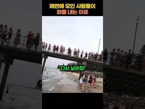 사람들이 해변에서 갑자기 화를 낸 진짜 이유는?
