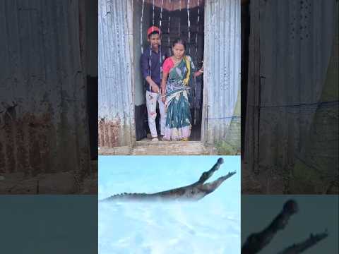 আমাদের বাড়ির সামনে সান্ডা এসেছে 😀#sorts #comedy #funny #videio 😃