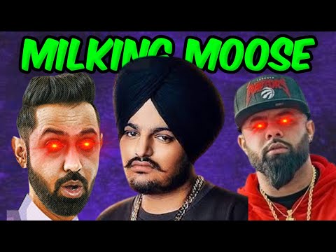 Milking Moose