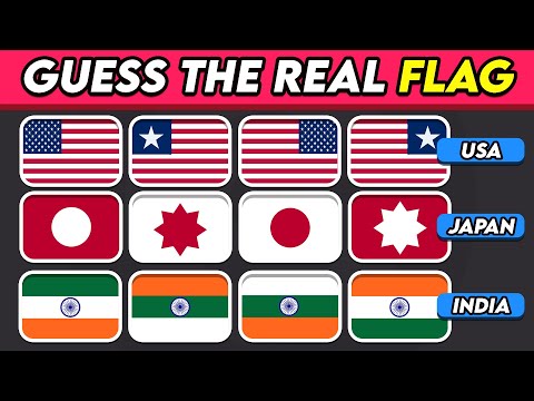 Guess The Flag Challenge ! Which Country Flag is Real ?