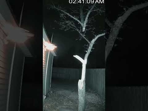 Un FANTASMA RECIBIÓ su KARMA 🌲👻