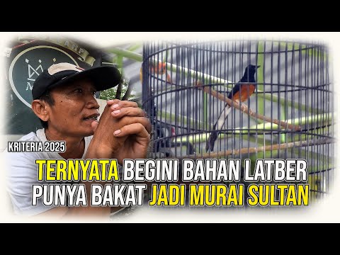 NYARI BAHAN CALON MURAI HARGA SULTAN PELUANGNYA MASIH LUAS