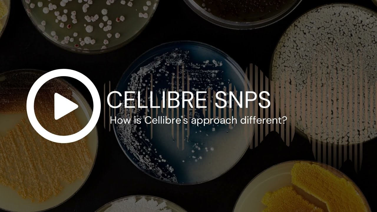 CELLIBRE SNPS: How is Cellibre Different