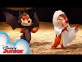 Exploring Chip and Dale's Halloween Adventures