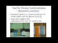 Identifying Macromolecules in Food