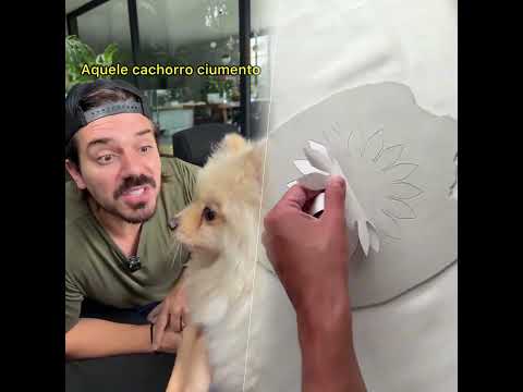 #humor #comedia #pet #meme #piada