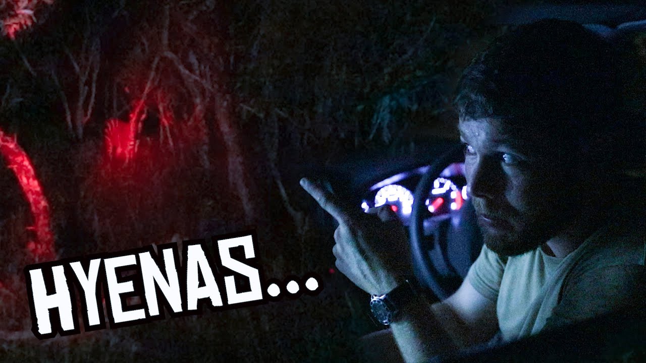 Overnight in african jungle! W/ corey scherer