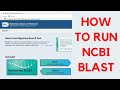 Understanding BLAST and Nucleotide Analysis