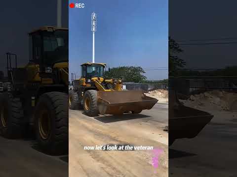 #working #satisfying