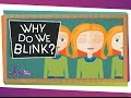 Understanding Reflexes and Blinking