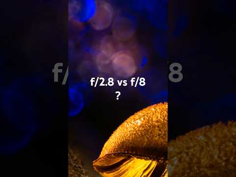 Macro Bokeh Aperture Test