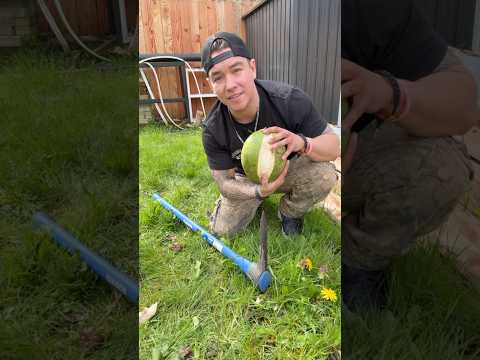 How To Open a Coconut 🥥