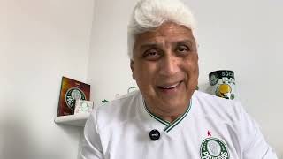FLAMENGO 0X3 PALMEIRAS | VANTAGEM NA TABELA | NOITE MARAVILHOSA | PAULINHO DE VOLTA  | OPINIÃO.