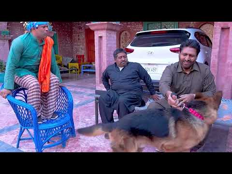 Rana Ijaz New Video | Standup Comedy By Rana Ijaz | New Dog Video | #comedy  @ranaijazofficial55