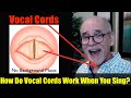 Understanding Vocal Cords and Singing