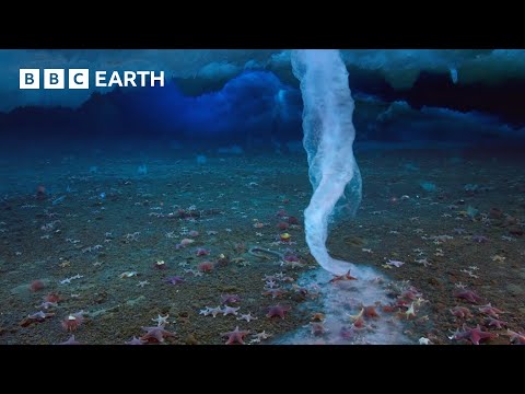 The &#39;Finger of Death&#39; That Freezes Everything It Touches | Earth&#39;s Great Seasons | BBC Earth