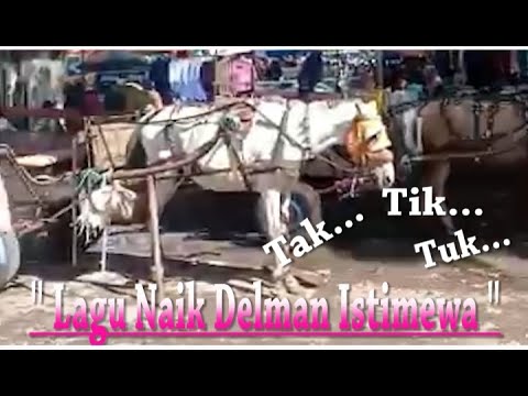 Lagu Naik Delman Istimewa - Tak tik tuk tik tak tik tuk