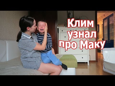 VLOG: Умерла собака, первый друг / Жизнь продолжается...
