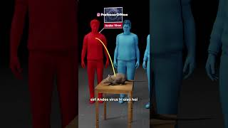 Hantavirus Explained (3D) by Professor Of How