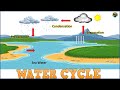Understanding the Water Cycle