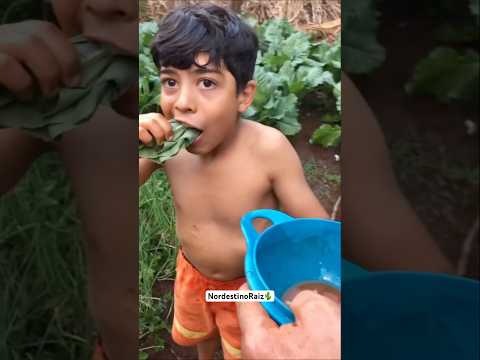 Leve sua família pra morar no campo, na paz da natureza, uma vida simples assim não tem preço🌵