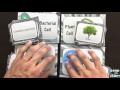 Card Sorting Activity in Science