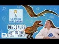 Dinosaur Extinction and Survival