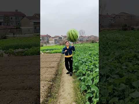 Funny photo shoot One-click cut the same style Photo shoot is fun Video effect please do not imitate