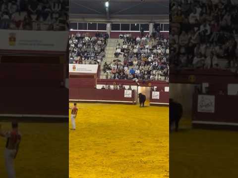 Increíble recorte a porta gayola de Pablo Martín “Guindi” #shorts