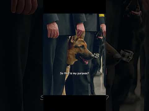 He guarded his master's life with loyalty.#shorts