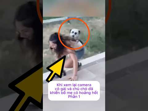 [P.1] Khi xem lại camera cô gái và chú chó đã khiến bố mẹ cô hoảng hốt #shorts
