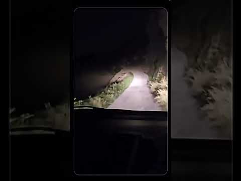 #shorts #davenportlens #davenportlensnews #denisdavenport #YouTubeShorts #Viral #Trending #Funny