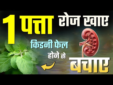 1 पत्ता दिन का करेगा किडनी की बीमारी से बचाव | Tulsi for Kidney Health | CKD Diet