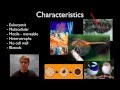 Animal Classification and Characteristics